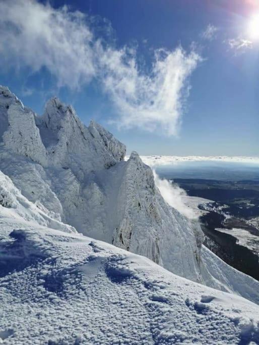 Appartement Chaleureux Et Cosy Le Mont-Dore Esterno foto